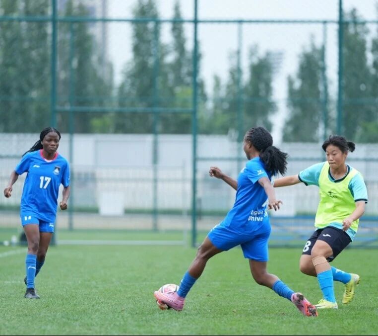 cal, type, 待部专员